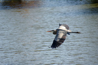 GBH Gliding By