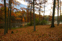 Fall Colors by the pond